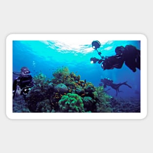 FABIEN COUSTEAU IN SUDAN Sticker